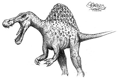 Spinosaurus