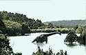 brachiosaur in lake