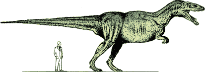 Carcharodontosaurus