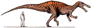 Suchomimus