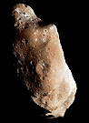 Asteroid Ida