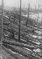 Tunguska