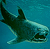 Dunkleosteus