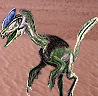 Guanlong wucaii