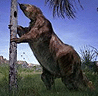 Megatherium