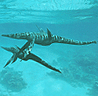 Plesiosaurs