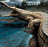 Sarcosuchus