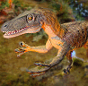 Velociraptor