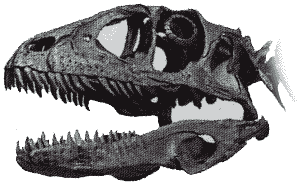 Deinonychus